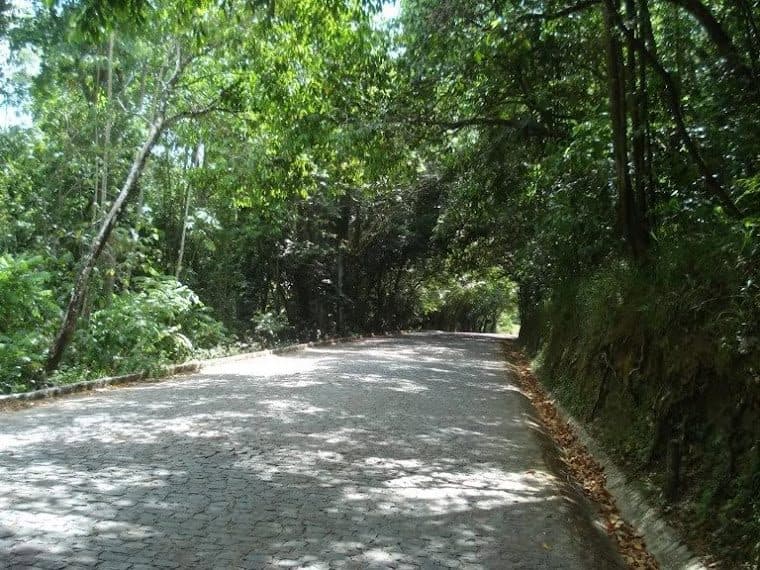 Vista da Reserva Biológica de Saltinho em Tamandaré, Pernambuco