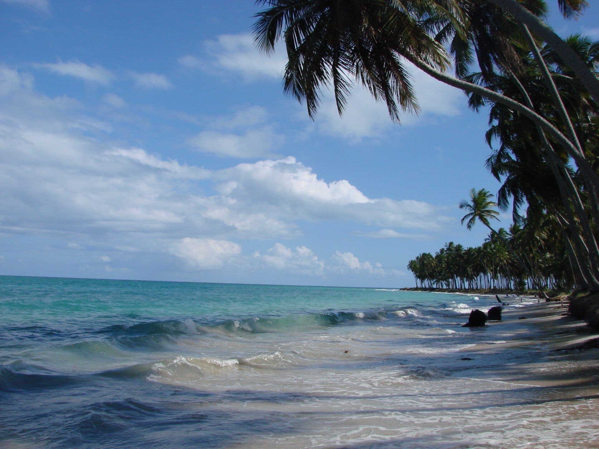 Vista da Praia de Carneiros em Tamandaré, Pernambuco