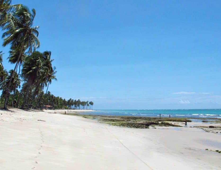 Vista da Praia dos Carneiros no município de Tamandaré, Pernambuco