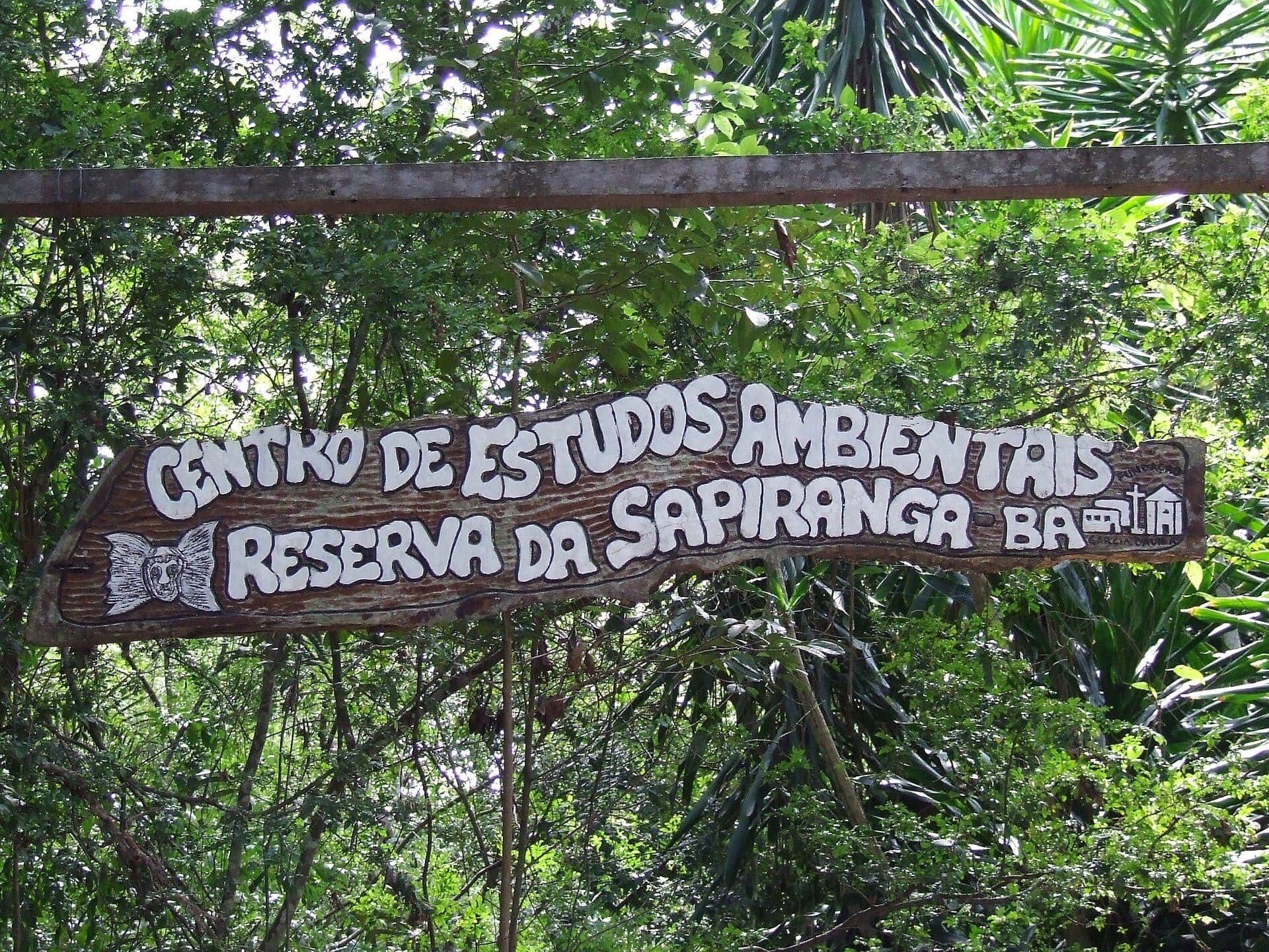 Vista da vegetação e paisagem natural na Reserva Ecológica de Sapiranga