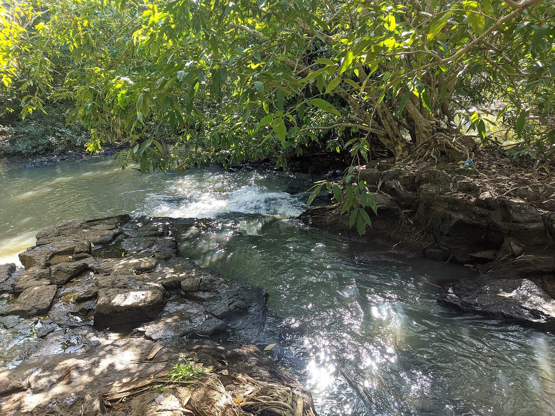 Cachoeira do Ribeirão Baguaçu no Parque Ecológico Baguaçu