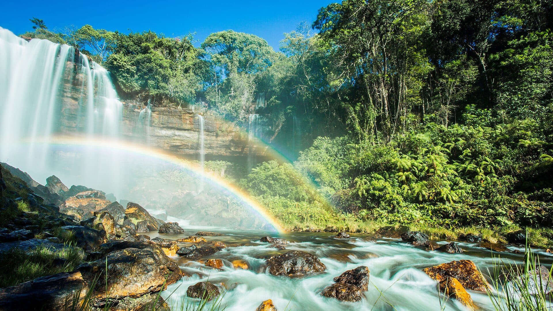Queda d'água da Cachoeira do Acaba Vida em meio à vegetação