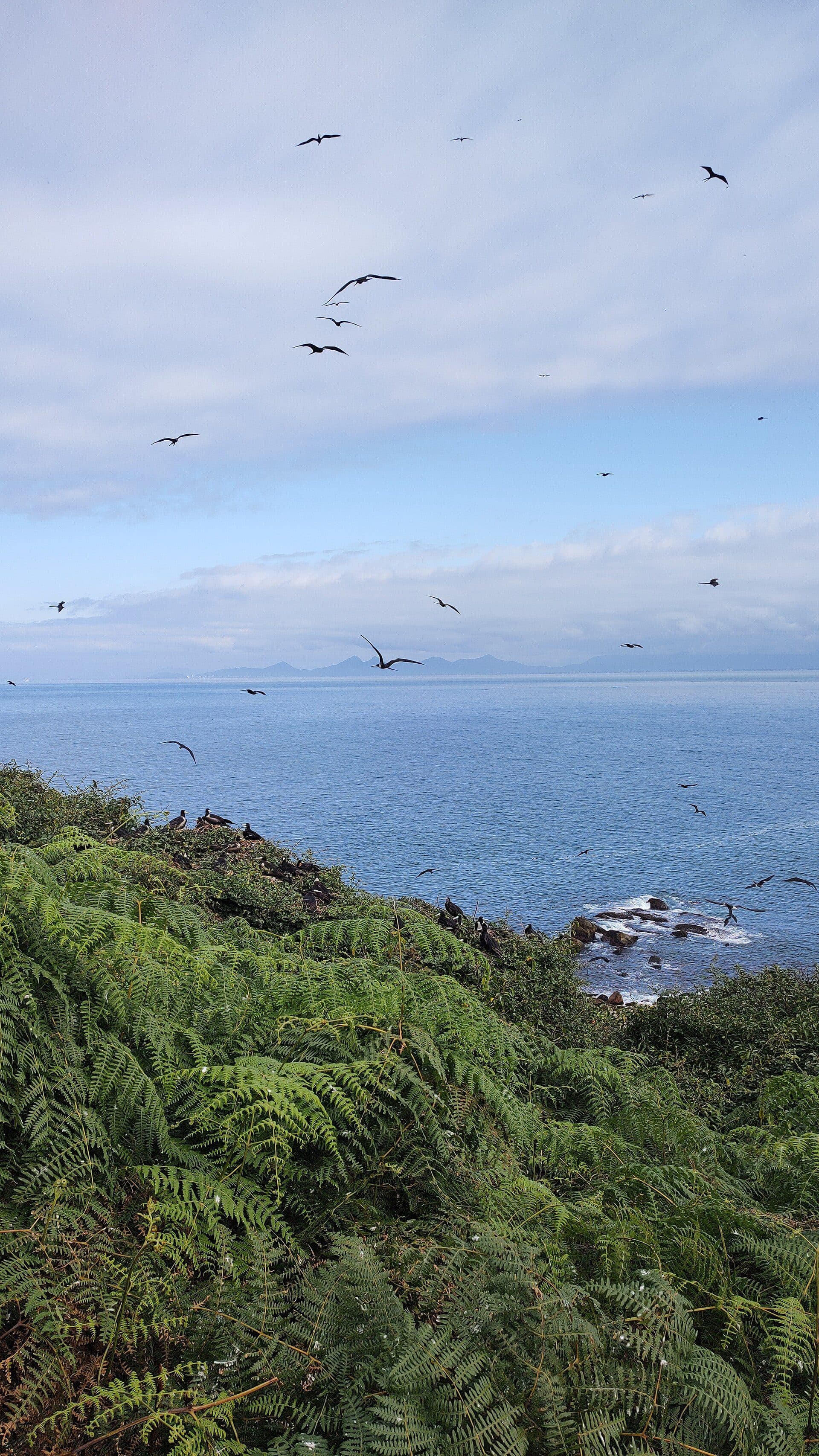 Vista do Parque Nacional Marinho das Ilhas dos Currais