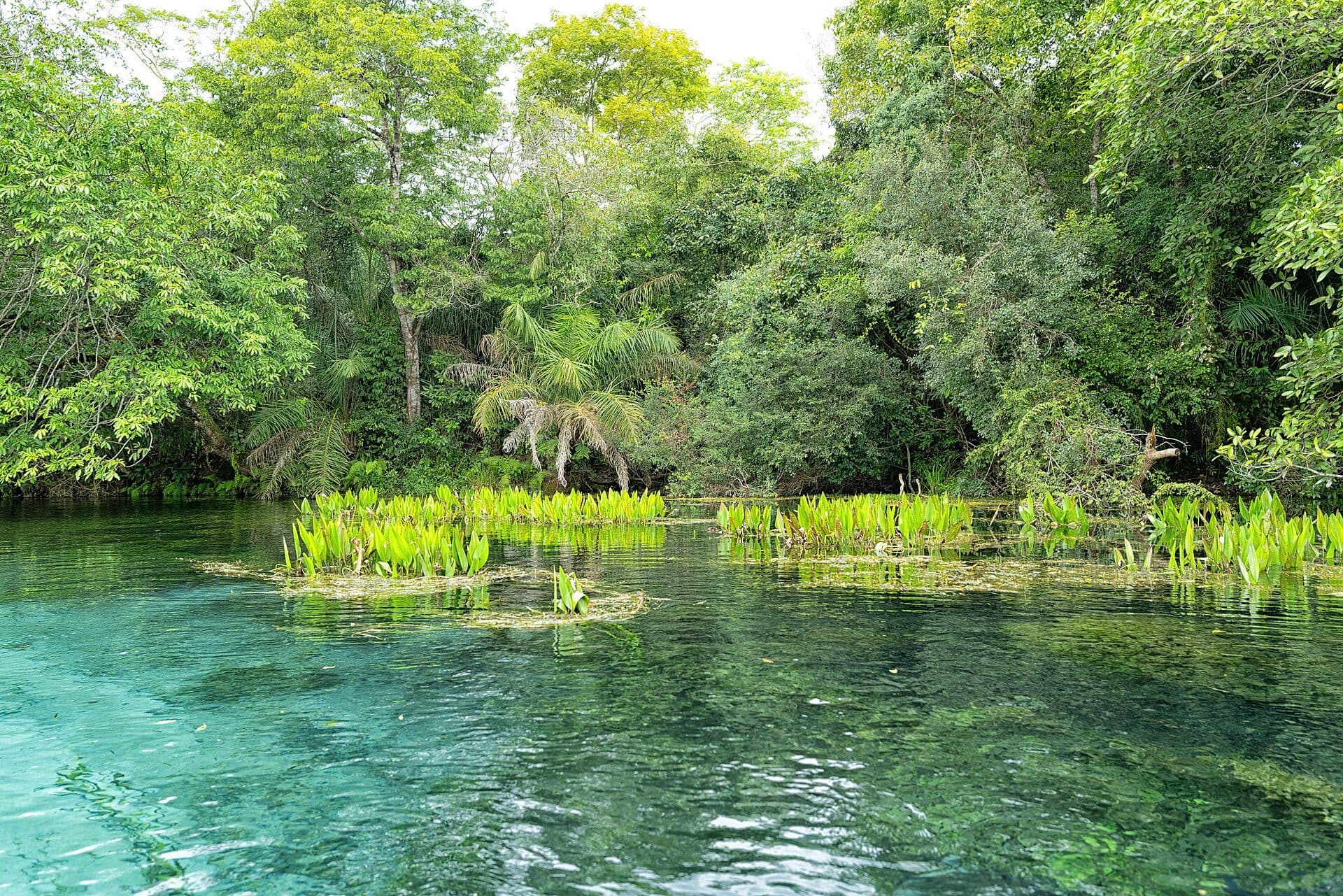 Vista da paisagem natural ao longo do Rio Sucuriú