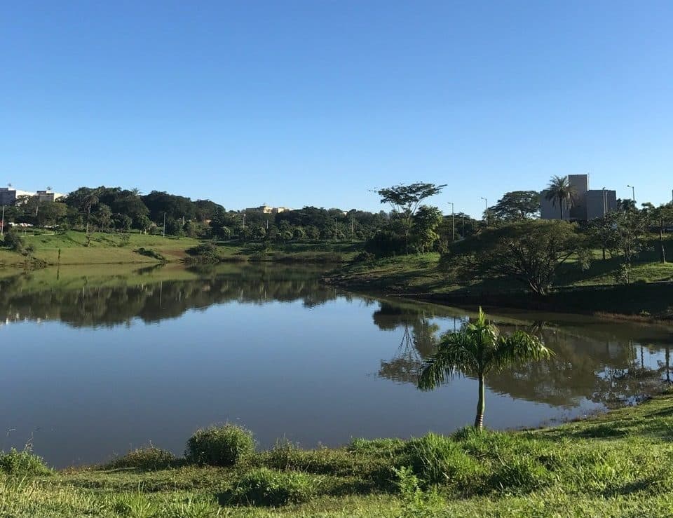 Vista da área verde no Parque das Acácias