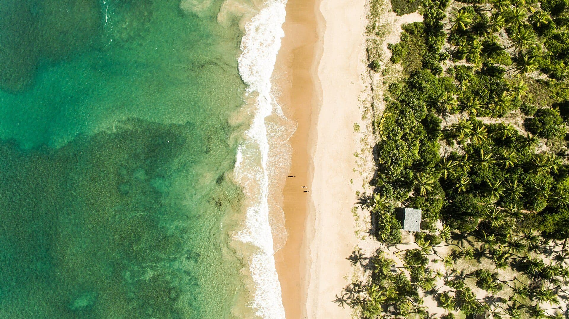 Praia de Algodoes