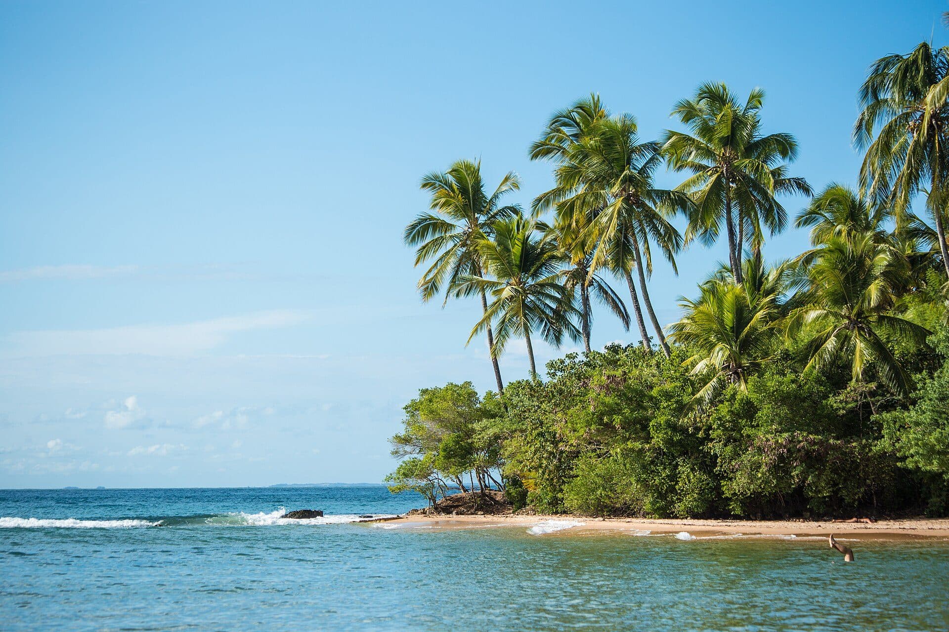 Ponta do Muta