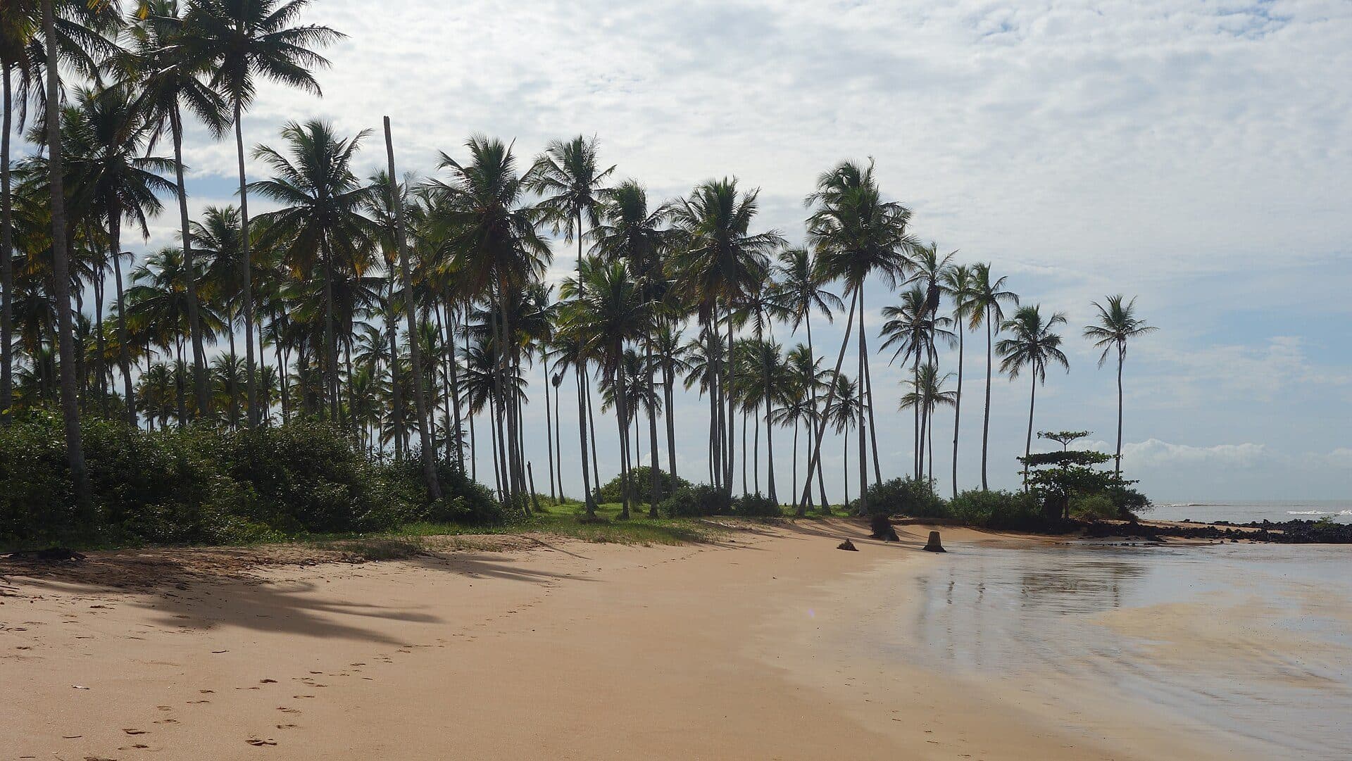 Vista de paisagem em Aracruz, no estado do Espírito Santo
