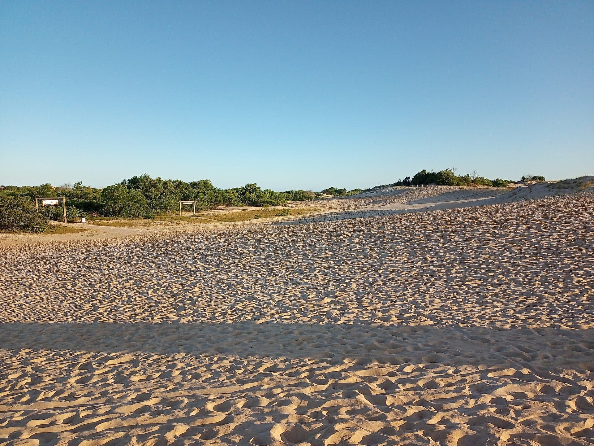Vista das Dunas de Itaúnas durante a manhã