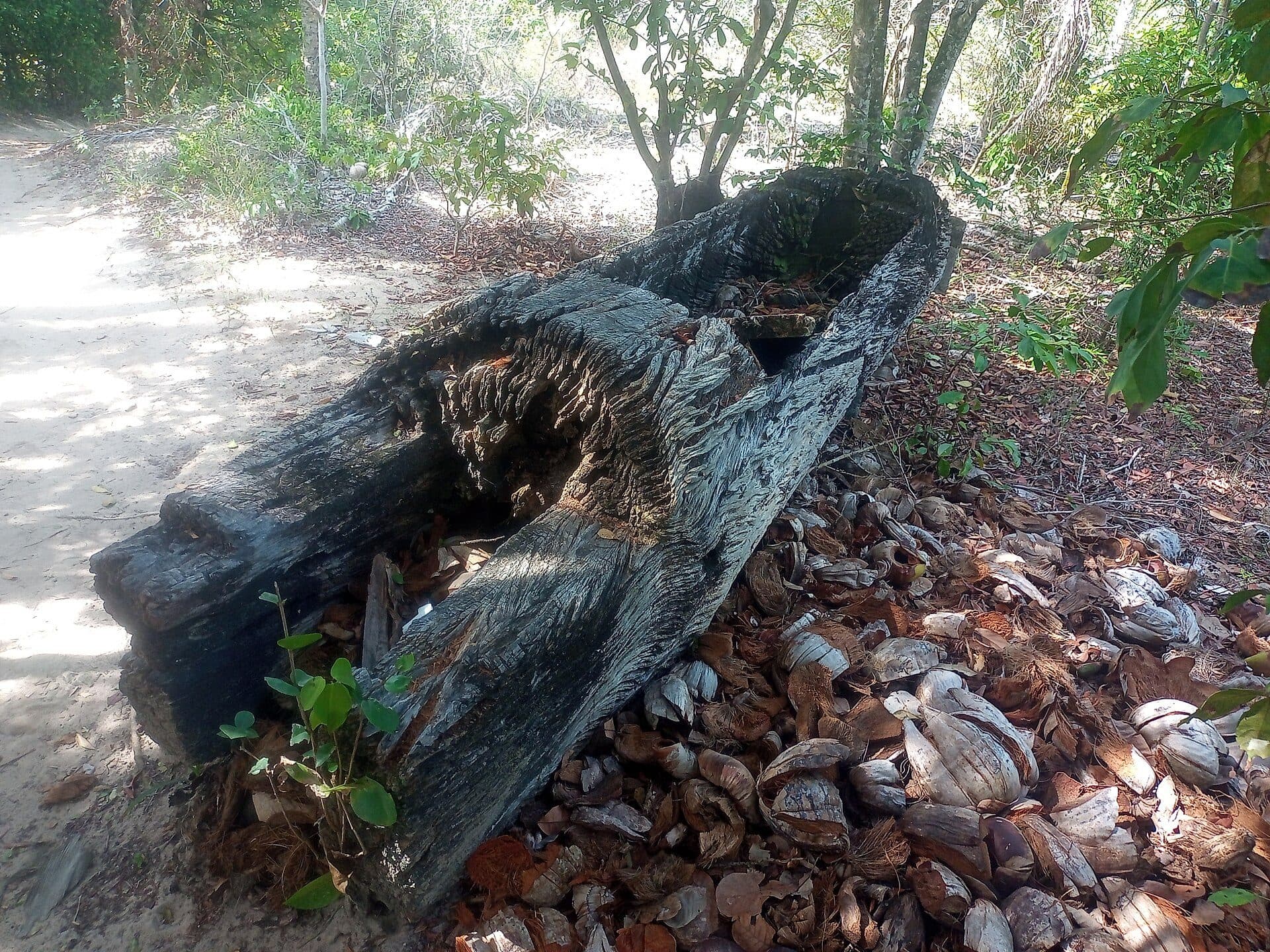 Vista da paisagem no Parque Estadual de Itaúnas em Conceição da Barra
