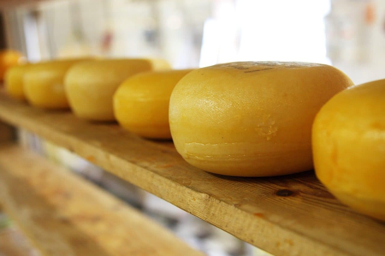 Várias peças de queijo dispostas em prateleiras de madeira