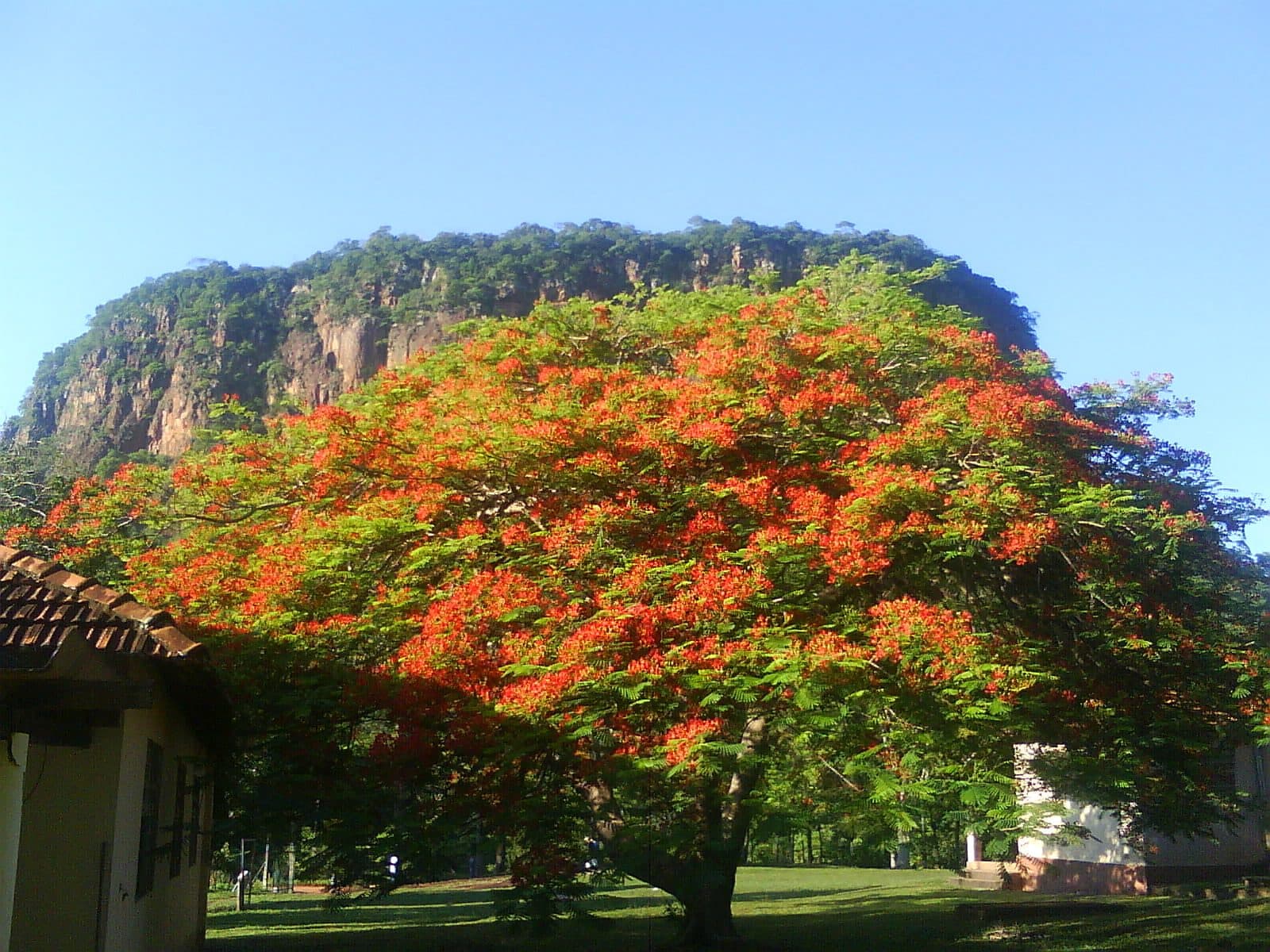 Paisagem natural na região de Piraputanga, no Mato Grosso do Sul