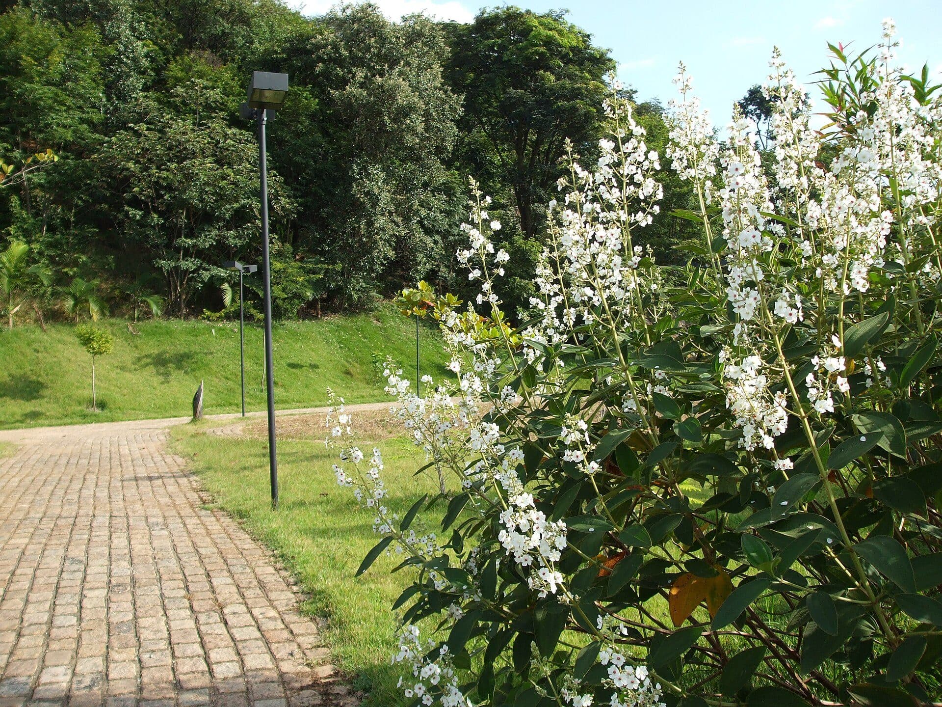 Vista do Jardim Botânico de Jundiaí