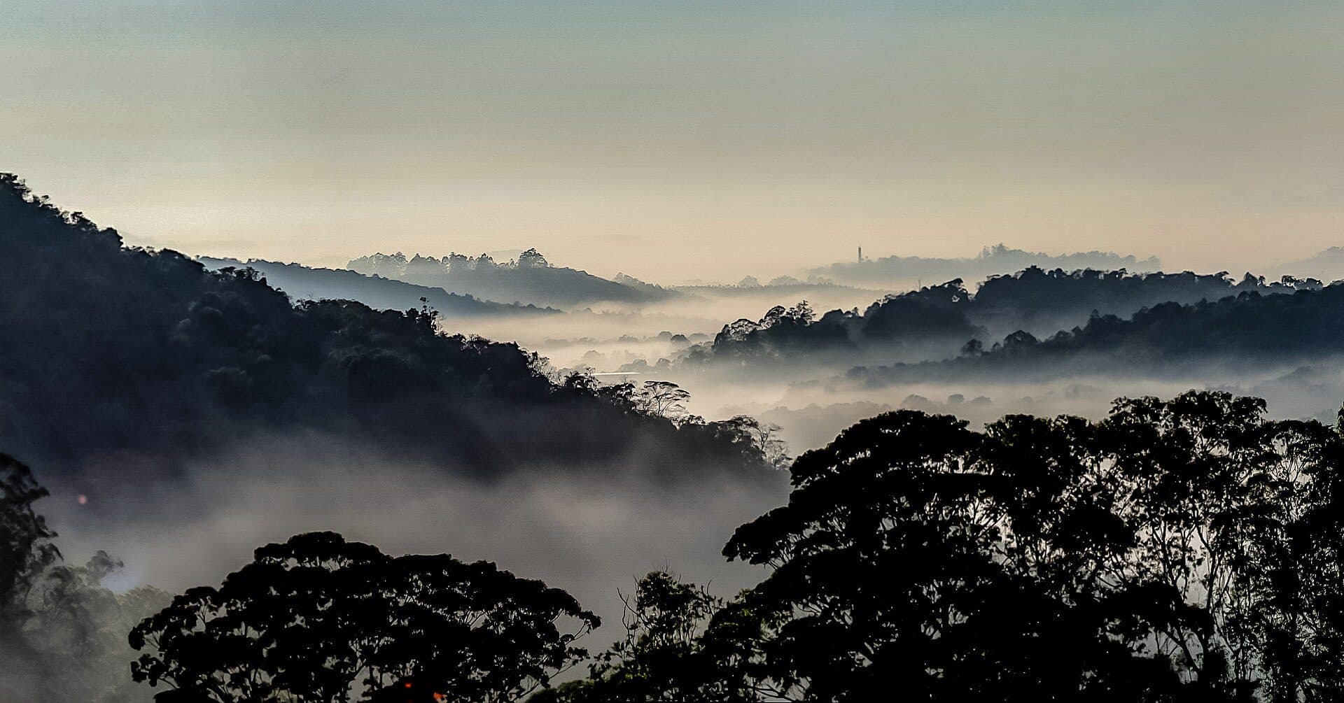 Vista da paisagem natural da Serra do Japi