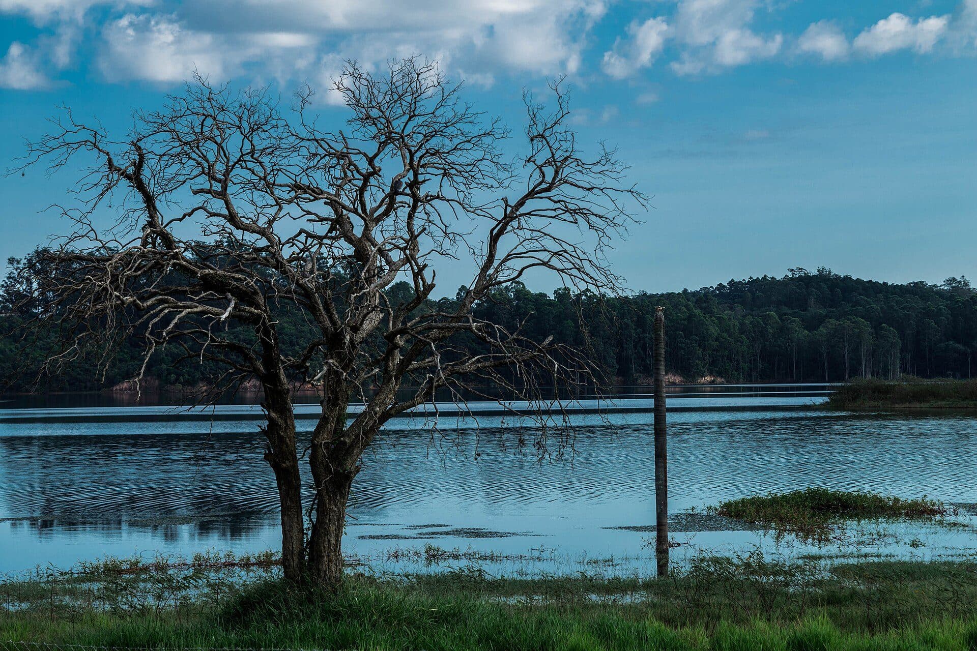 Vista de um lago na cidade de Jundiaí, São Paulo