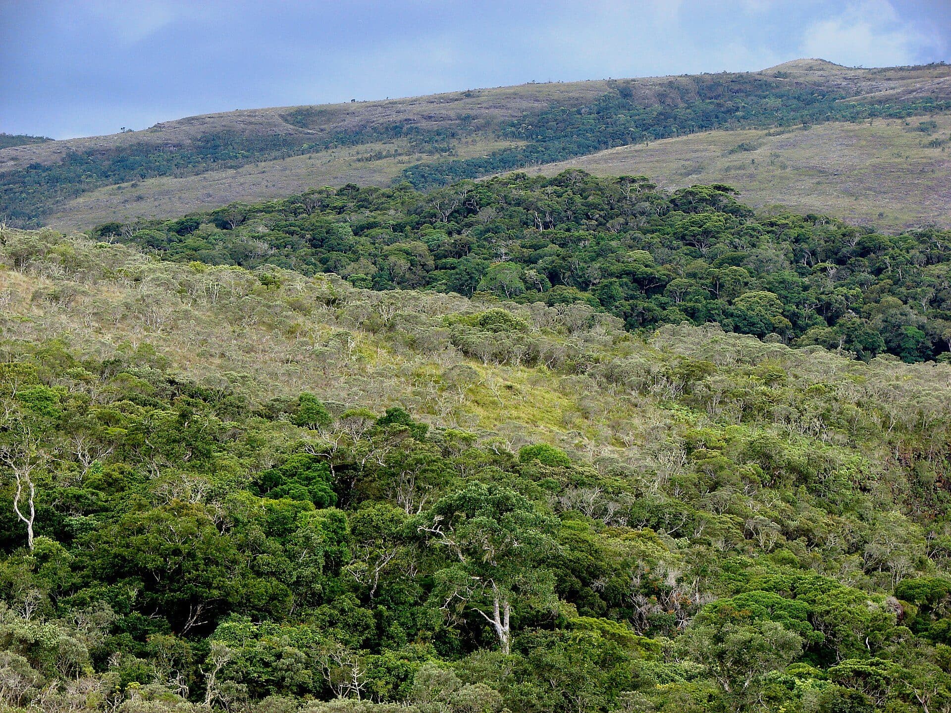 Vista de paisagem natural no Parque Estadual do Ibitipoca