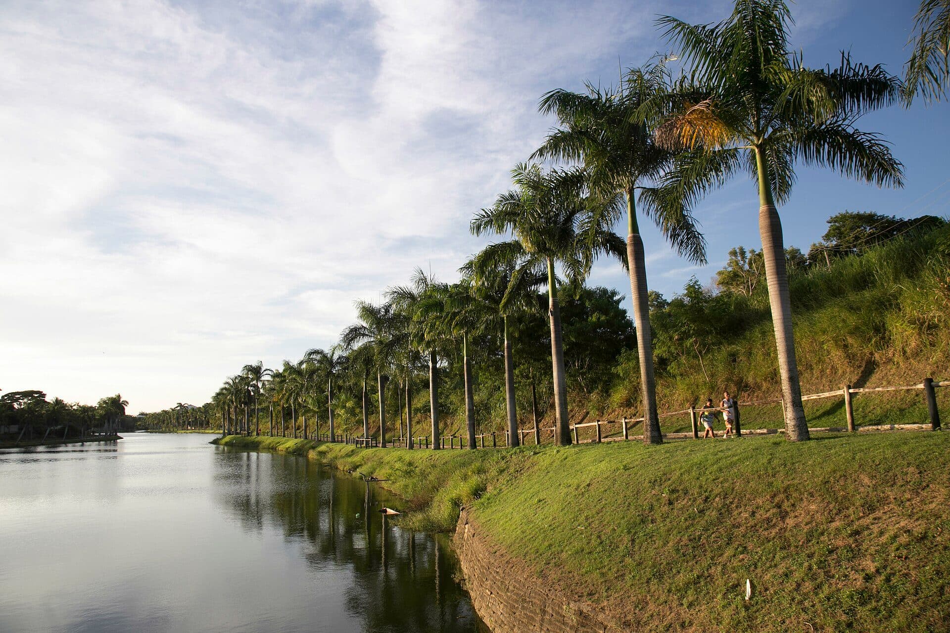 Vista da Linha Verde em Linhares, no Espírito Santo