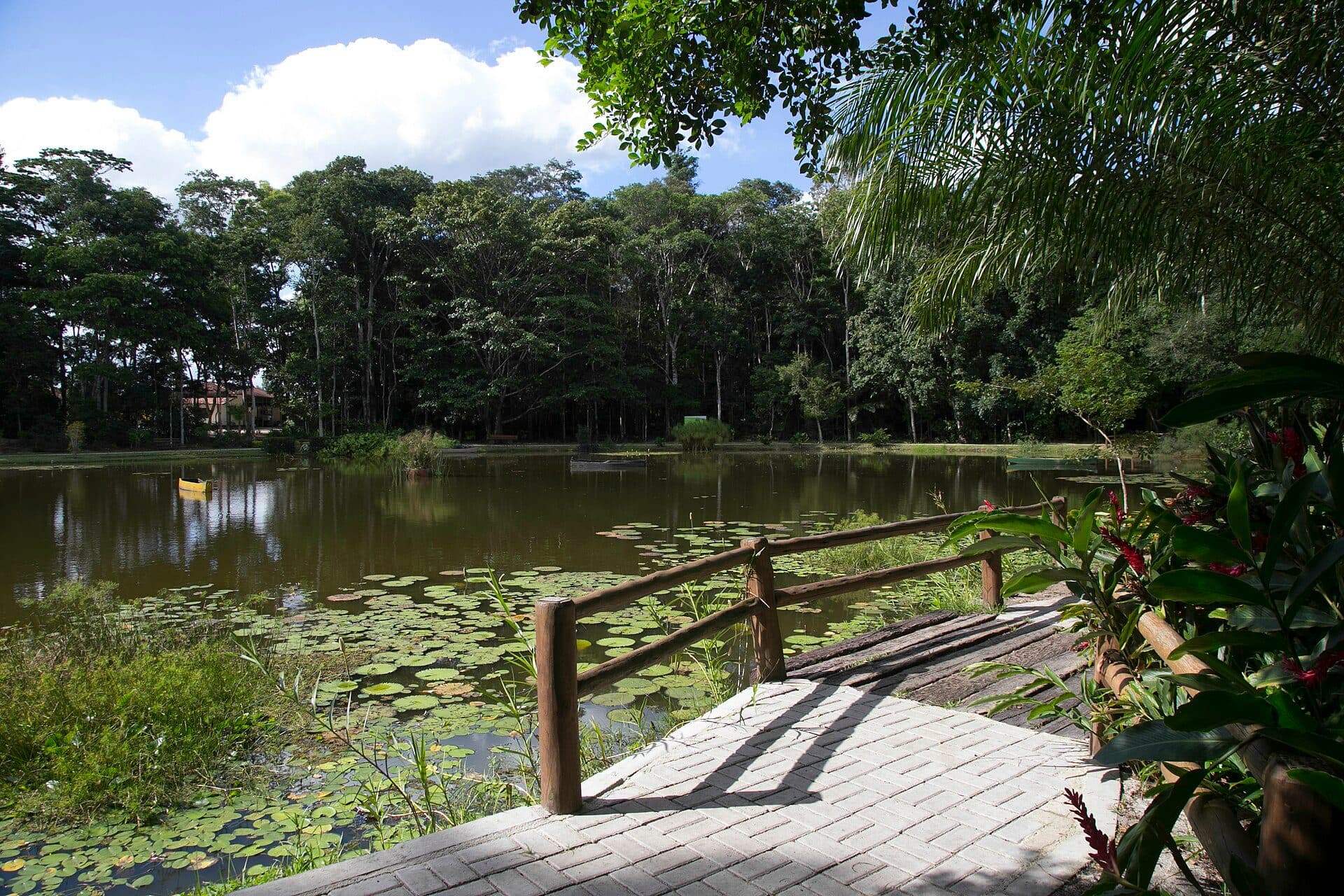 Vista da Reserva Natural Vale em Linhares, Espírito Santo