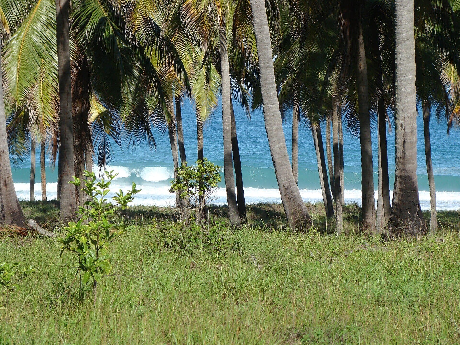 Vista da Praia do Francês em Marechal Deodoro