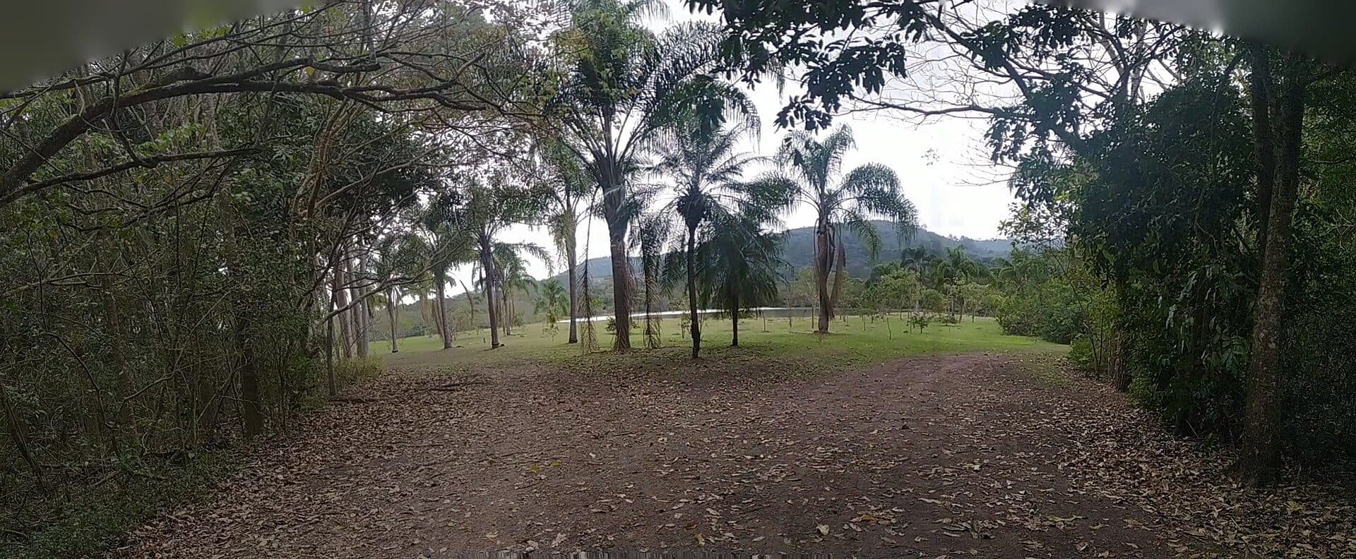 Vista panorâmica do lago no Parque Leon Feffer