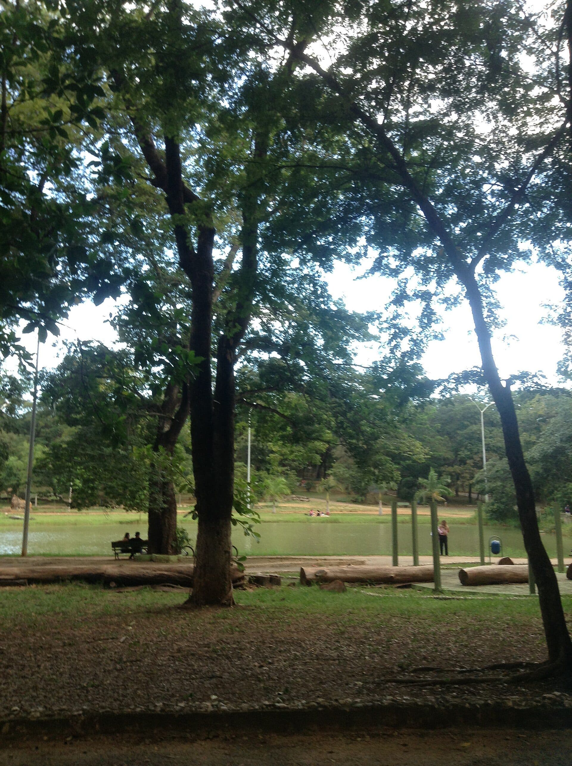 Vista da área verde do Parque Municipal de Montes Claros