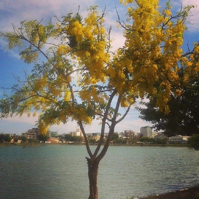 Vista da Lagoa Grande na cidade de Patos de Minas