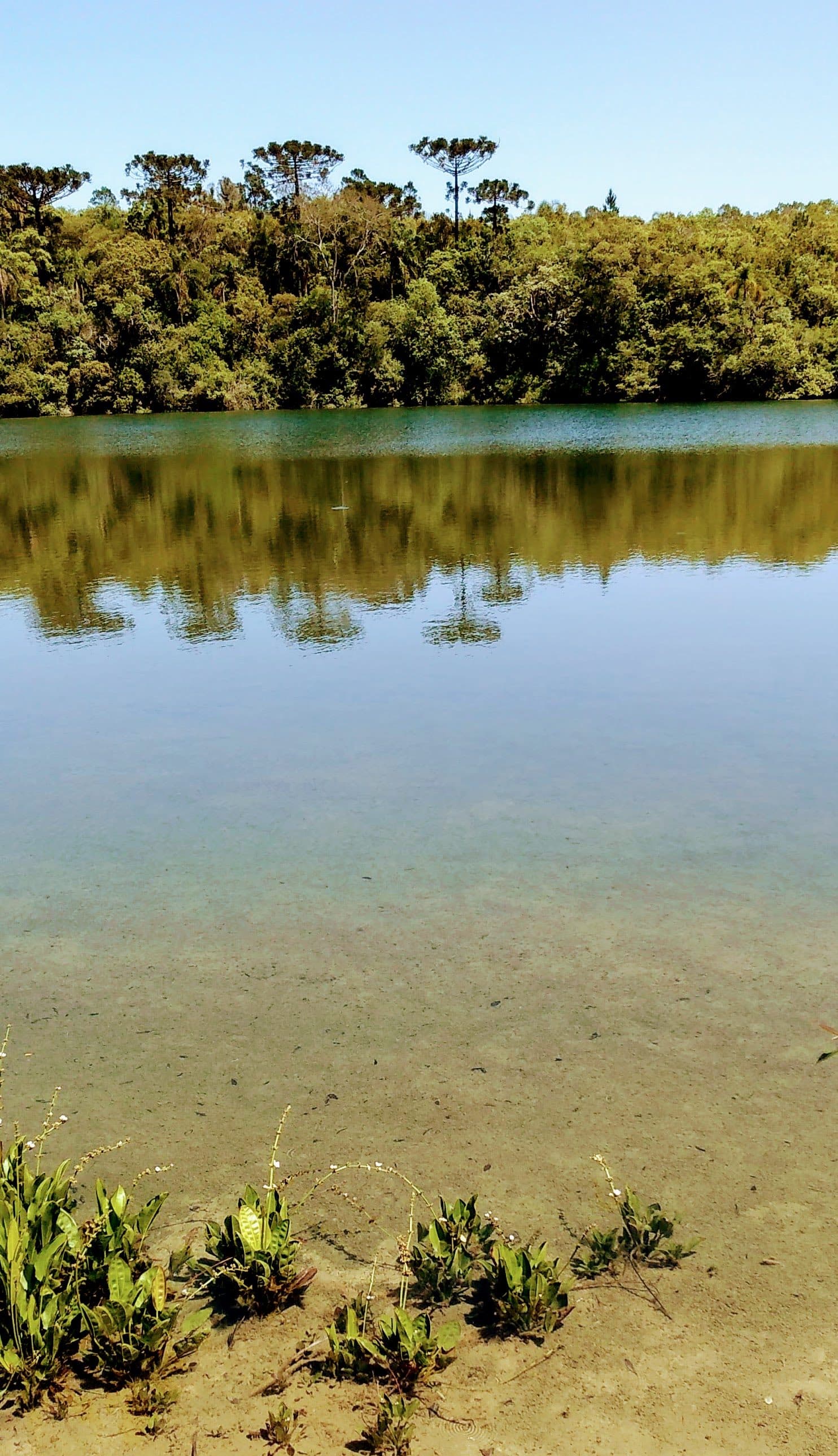 Vista da Lagoa Dourada no Parque Estadual de Vila Velha