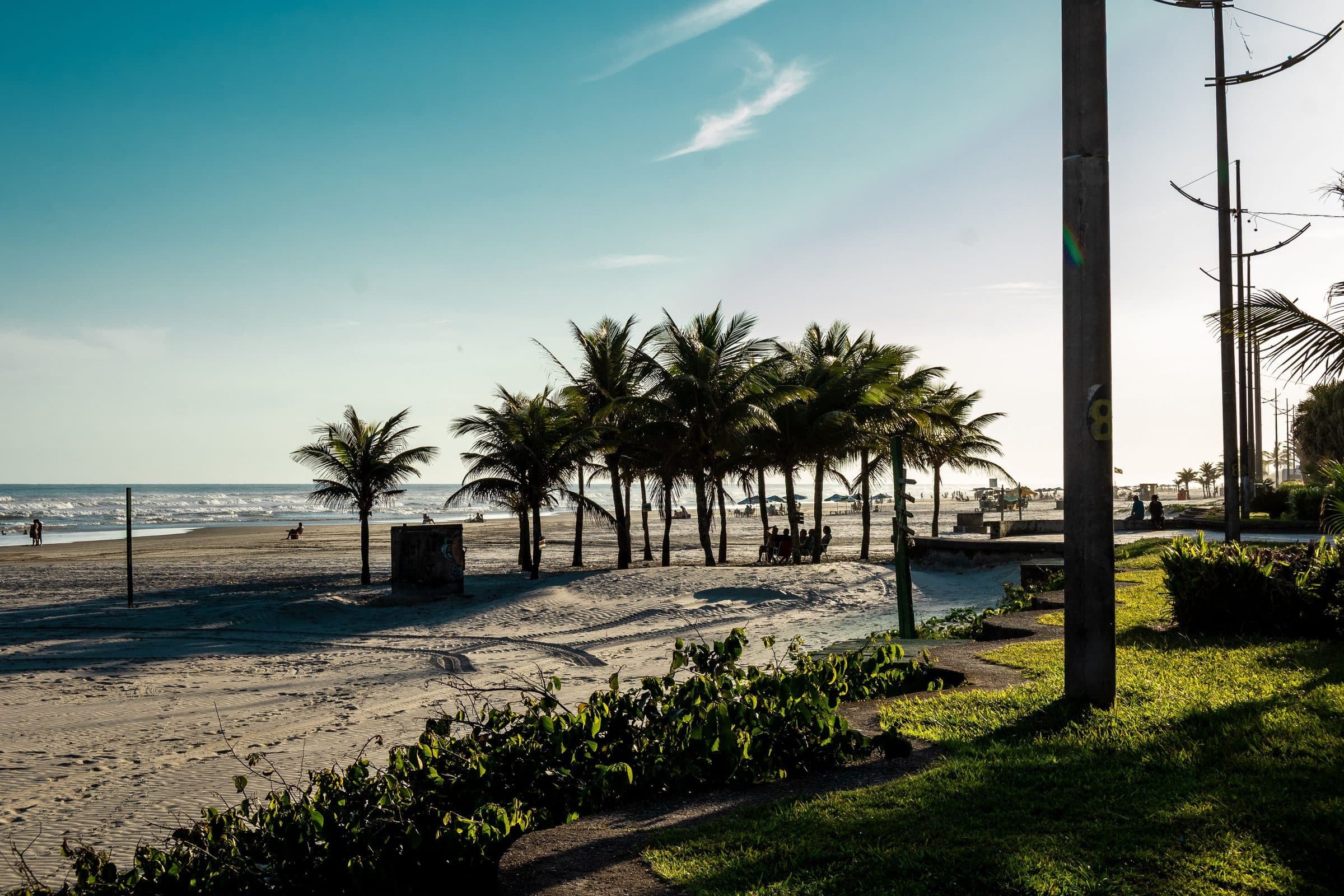 Paisagem da praia com palmeiras em Praia Grande, São Paulo