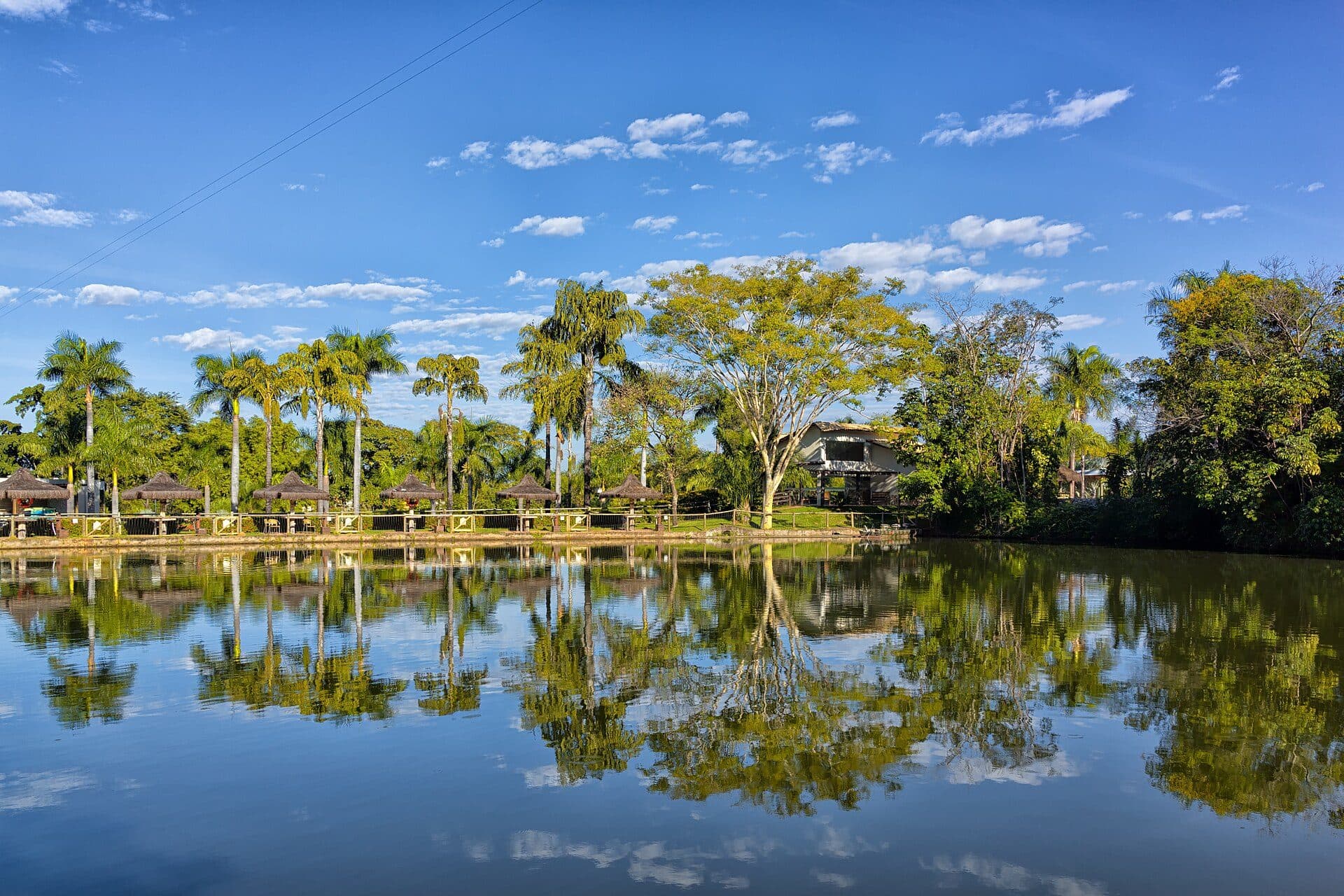 Árvores e vegetação natural no município de Rio Quente, Goiás