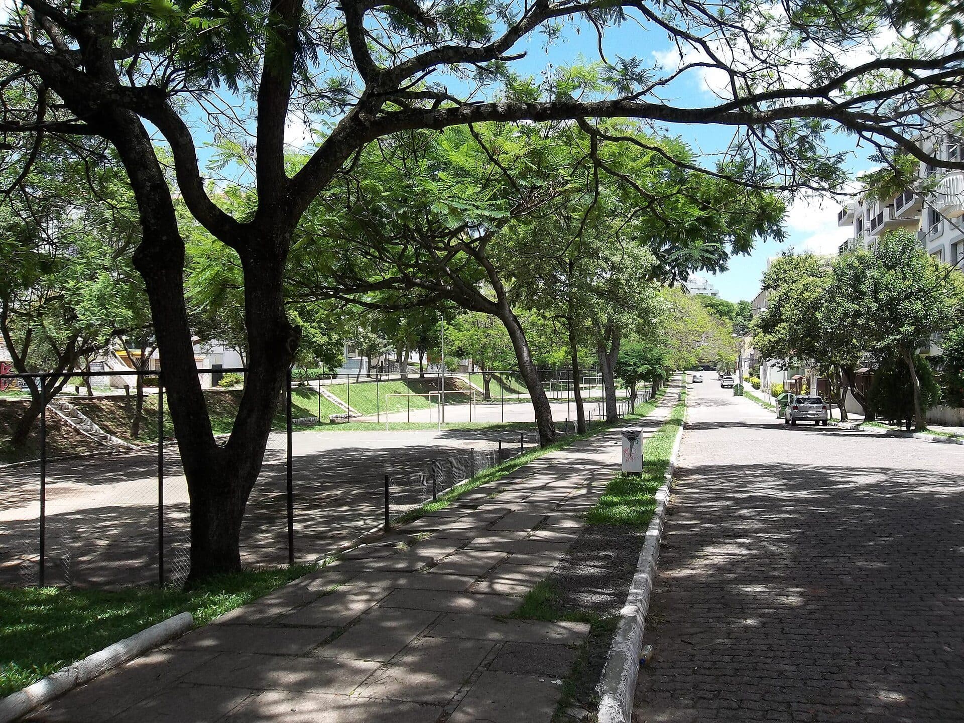 Vista da área verde do Parque Itaimbé